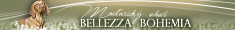 Banner  maďarský ohař Bellezza Bohemia